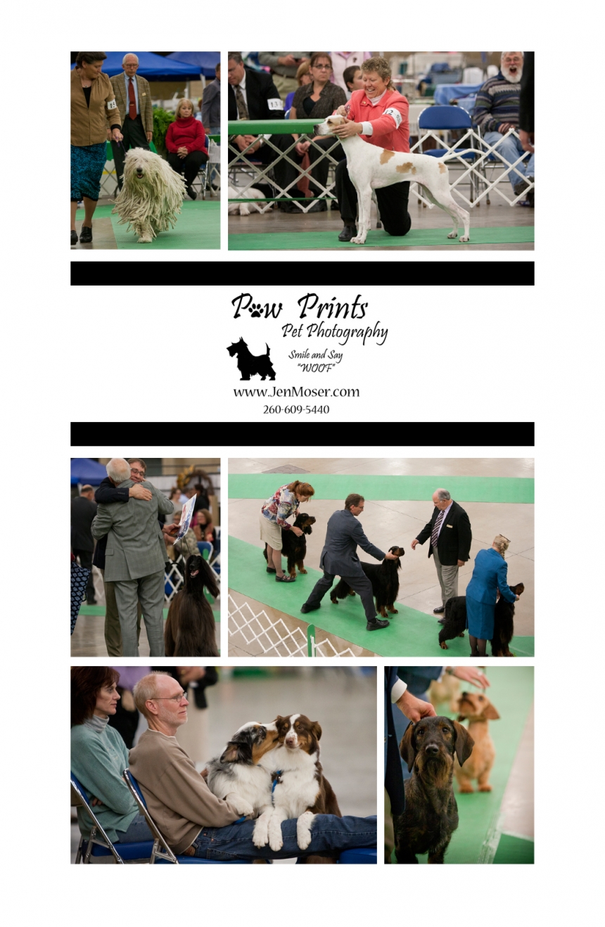 OFC Old Fort Cluster Dog Show 2011 » Paw Prints Pet Photography